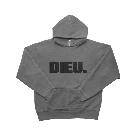 DIEU Hoodie - Gray